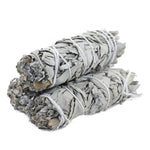 Load image into Gallery viewer, White Sage 10cm - 1 pcs