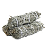 Load image into Gallery viewer, Blue Sage 10cm - 1 pcs