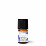 Ielādēt attēlu galerijas skatītājā, Moldavian Dragonhead BIO ēteriskā eļļa 2g / 5g / 15g