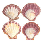 Load image into Gallery viewer, Abalone Shell holder 12-14cm - Palo Santo & Sage