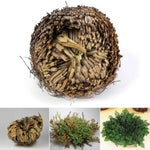 Load image into Gallery viewer, Jerihonas Roze / Rose of Jericho