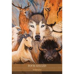 Ielādēt attēlu galerijas skatītājā, Shamanic Medicine Orākuls