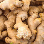 Ielādēt attēlu galerijas skatītājā, Ginger / Ingvera BIO ēteriskā eļļa 5g / 15g / 50g