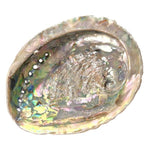 Load image into Gallery viewer, Abalone Shell Holder for Palo Santo & Sage
