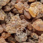 Ielādēt attēlu galerijas skatītājā, Benzoin / Benzosveķu BIO ēteriskā eļļa 5g / 15g