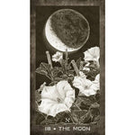 Ielādēt attēlu galerijas skatītājā, New Era Elements Taro Kārtis