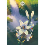 Load image into Gallery viewer, Herbs & Plants Lenormand Orākuls