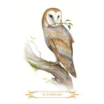 Ielādēt attēlu galerijas skatītājā, A Compendium of Witches Orākuls