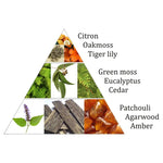 Ielādēt attēlu galerijas skatītājā, Aromātiskās Briķetes Aromafume Forest Dew 40g