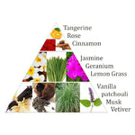 Ielādēt attēlu galerijas skatītājā, Aromātiskās Briketes Aromafume 7 Chakras / 2-Swadhistana 40gr