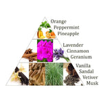 Ielādēt attēlu galerijas skatītājā, Aromātiskās Briketes Aromafume 7 Chakras / 5-Vishuddha 40gr