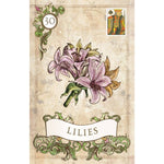 Load image into Gallery viewer, Old Style Lenormand Oracle Cards