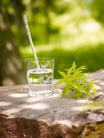 Ielādēt attēlu galerijas skatītājā, Glāze Jasmina ar Dzīvības Zieda logo 300ml