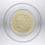 Ielādēt attēlu galerijas skatītājā, Glāze Galileo ar Dzīvības Zieda logo 500ml
