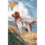 Load image into Gallery viewer, Celtic Lenormand Oracle
