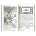 Ielādēt attēlu galerijas skatītājā, Runes The God's Magical Alphabet Rūnas