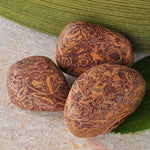 Ielādēt attēlu galerijas skatītājā, Akmens Jašma / Čūskas Jašma / Snake Jasper