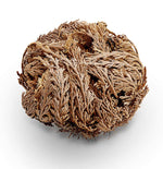 Load image into Gallery viewer, Jerihonas Roze / Rose of Jericho