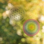 Ielādēt attēlu galerijas skatītājā, Uzlīme Flower of Life / Dzīvības Zieds Ø4.5cm