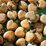 Load image into Gallery viewer, Kulons Jašma / Ainavu Jašma / Landscape Jasper Heart