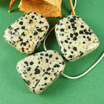 Load image into Gallery viewer, Kulons Jašma / Dalmāciešu Jašma / Dalmatian Jasper