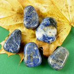 Load image into Gallery viewer, Kulons Sodalīts / Sodalite 20-30mm