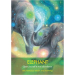 Ielādēt attēlu galerijas skatītājā, Archangel Animal Oracle Cards Orākuls