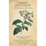 Загрузить изображение в средство просмотра галереи, Botanical Inspirations Deck & Book Set Оракул
