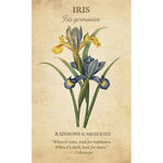 Загрузить изображение в средство просмотра галереи, Botanical Inspirations Deck & Book Set Оракул