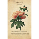 Загрузить изображение в средство просмотра галереи, Botanical Inspirations Deck & Book Set Оракул