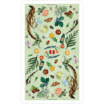 Ielādēt attēlu galerijas skatītājā, The Herbcrafter`s Taro Kārtis