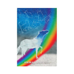 Ielādēt attēlu galerijas skatītājā, The Mediumship Training Deck Orākuls