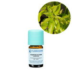 Ielādēt attēlu galerijas skatītājā, Camphor / Kampara BIO ēteriskā eļļa 5g / 15g