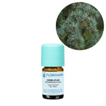 Ielādēt attēlu galerijas skatītājā, Cedarwood Atlas / Ciedru BIO ēteriskā eļļa 5g / 15g