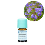 Ielādēt attēlu galerijas skatītājā, Moldavian Dragonhead BIO ēteriskā eļļa 2g / 5g / 15g