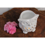 Load image into Gallery viewer, Aroma lamp Owl 11cm