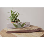 Ielādēt attēlu galerijas skatītājā, Smaržkociņi Angel of Cleansing / Attīrīšanās Eņģelis