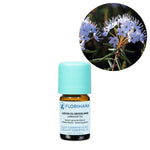 Ielādēt attēlu galerijas skatītājā, Labrador Tea BIO ēteriskā eļļa 2g / 5g