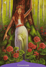 Ielādēt attēlu galerijas skatītājā, Magic of Flowers Orākuls