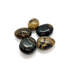 Load image into Gallery viewer, Kulons Stromatolīts / Stromatolite