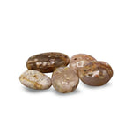 Ielādēt attēlu galerijas skatītājā, Akmens Ahāts / Ziedu Ahāts / Flower Agate 5-8cm