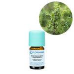 Ielādēt attēlu galerijas skatītājā, Juniper Branch / Kadiķis BIO ēteriskā eļļa 5g / 15g