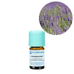 Ielādēt attēlu galerijas skatītājā, Lavandin Super / Lavandīns / Lavandula X burnati eļļa 5g / 15g / 50g