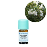 Ielādēt attēlu galerijas skatītājā, Lemon Myrtle / Citronmirte / Backhousia citriodora eļļa 5g / 15g