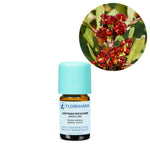 Загрузить изображение в средство просмотра галереи, Mastic tree / Mastikas pistācijas BIO ēteriskā eļļa 2g / 5g / 15g