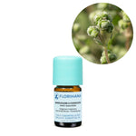 Загрузить изображение в средство просмотра галереи, Marjoram / Sweet Marjoram / Majorāns BIO ēteriskā eļļa 5g / 15g