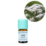 Ielādēt attēlu galerijas skatītājā, Valerian / Baldriāna Ēteriskā eļļa 2g / 5g / 15g