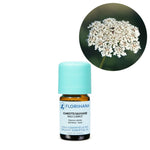 Ielādēt attēlu galerijas skatītājā, Carrot / Wild Carrot / Savvaļas burkānu sēklas BIO ēteriskā eļļa 5g / 15g