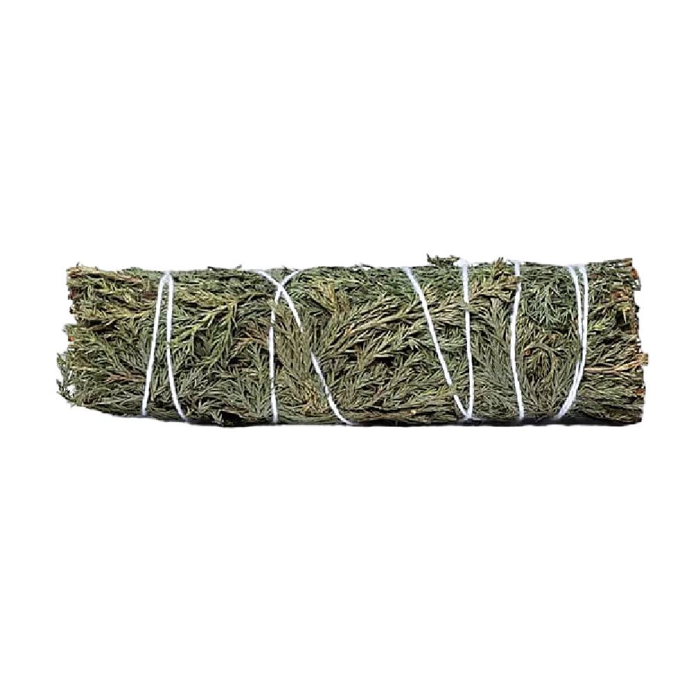 Cedar / Himalayan Cedar / Himalaju Ciedrs Cedrus Deodara 10cm - 1 gab