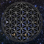Load image into Gallery viewer, Galdauts Flower of Life / Dzīvības Zieds 50x50cm
